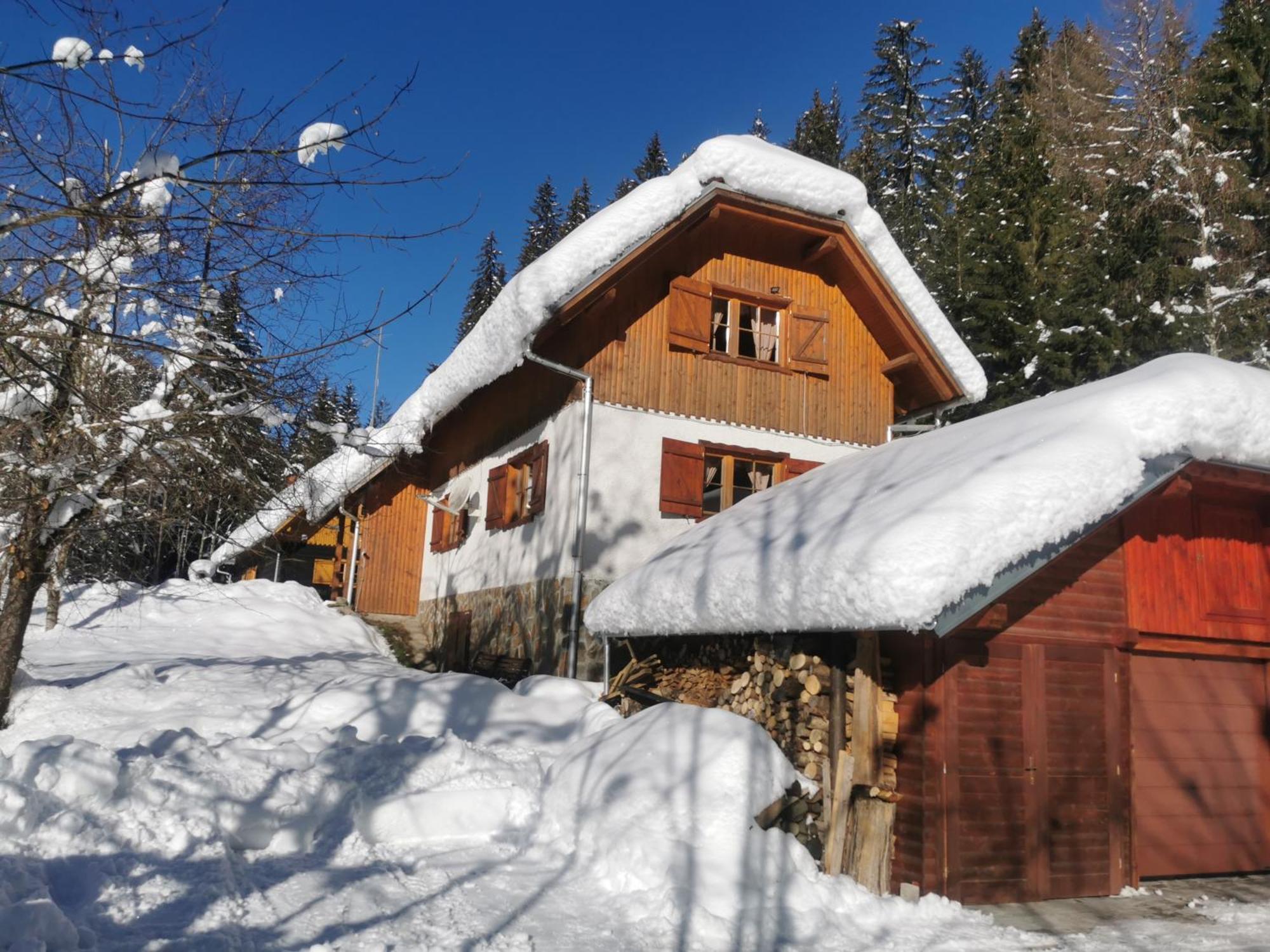 Pohorje House 2 Four Appartmetns Oplotnica Exterior photo